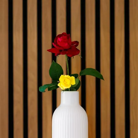 Plumeria 아파트 하니아